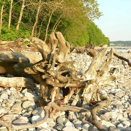 Im Ostseebad アパート ビンツ