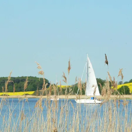 Im Ostseebad 公寓 宾茨