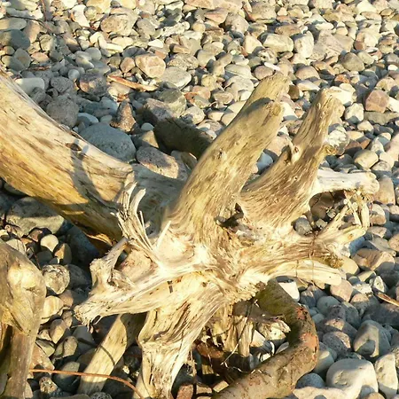 アパート Im Ostseebad ビンツ